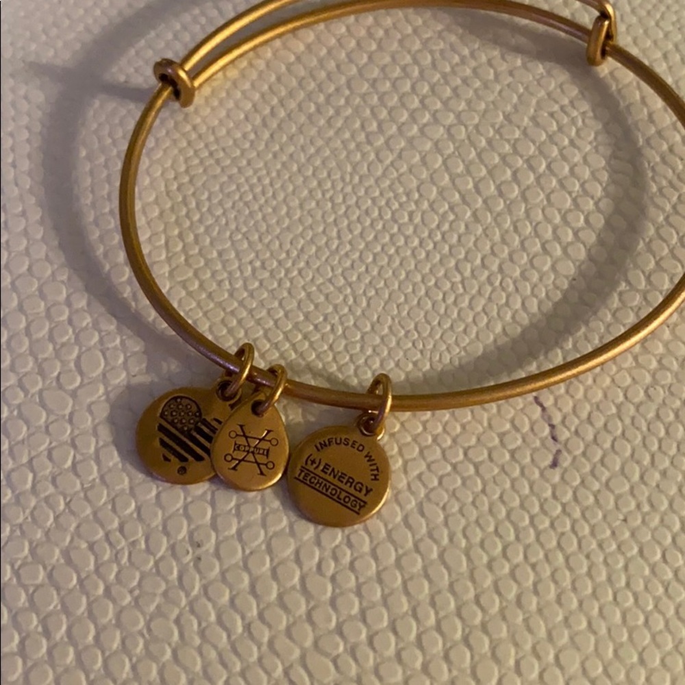 Plain Alex And Ani Bangle - image 2